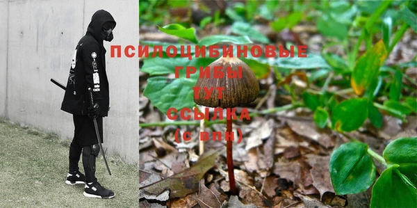 мдпв Беломорск
